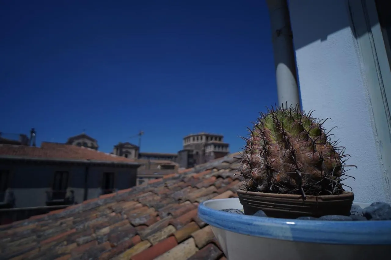 Apartament Casa Delle Rondini Katania