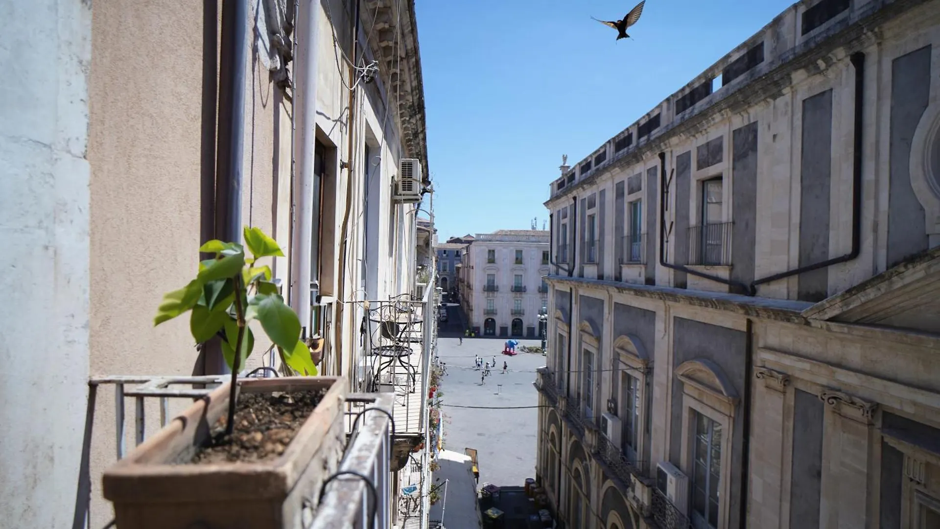 Apartament Casa Delle Rondini Katania
